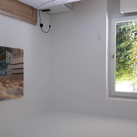 Deichblick_spo * Böhl